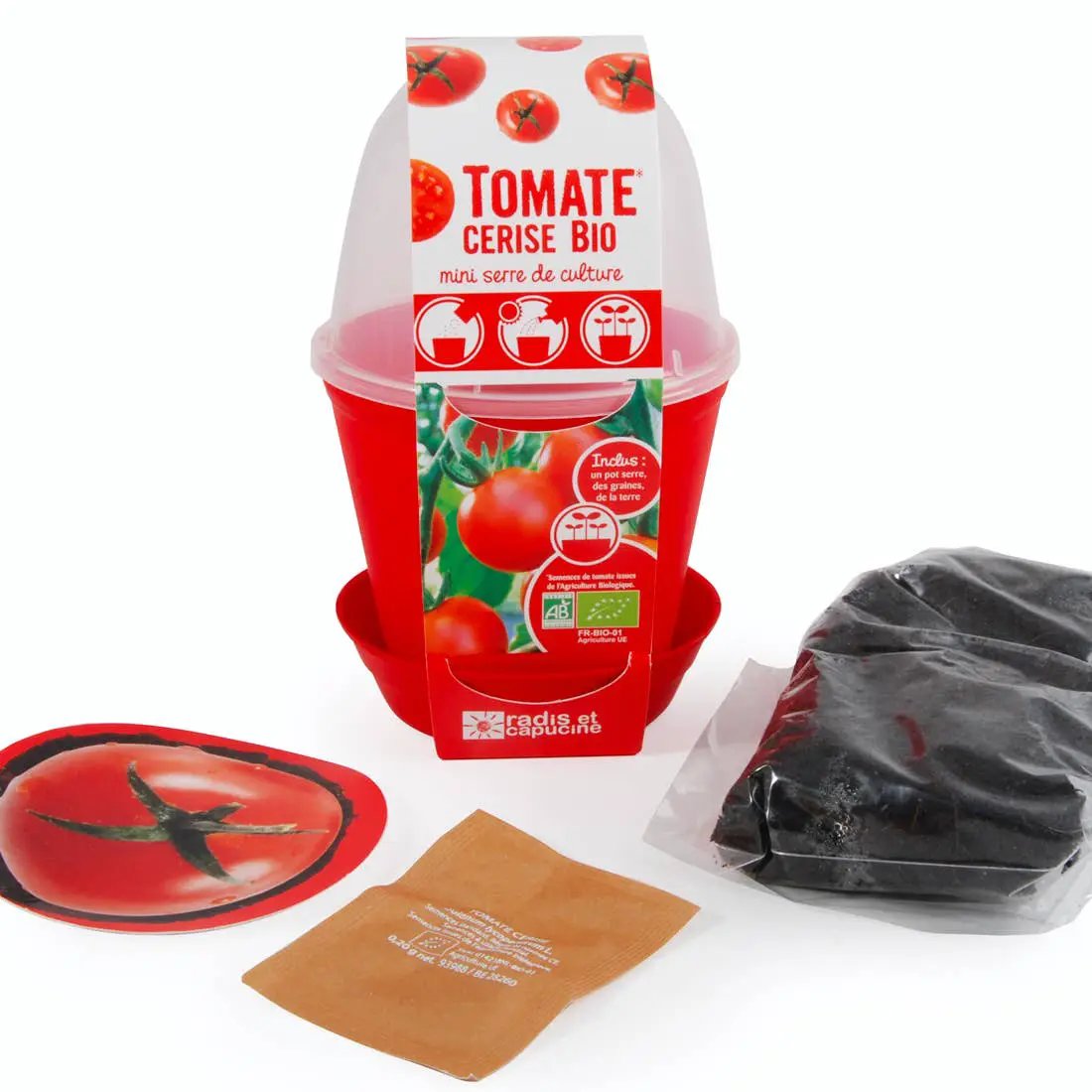 Pot Cloche - Tomate cerise bio - Kit créatif de jardinage Enfant by Radis Et Capucine