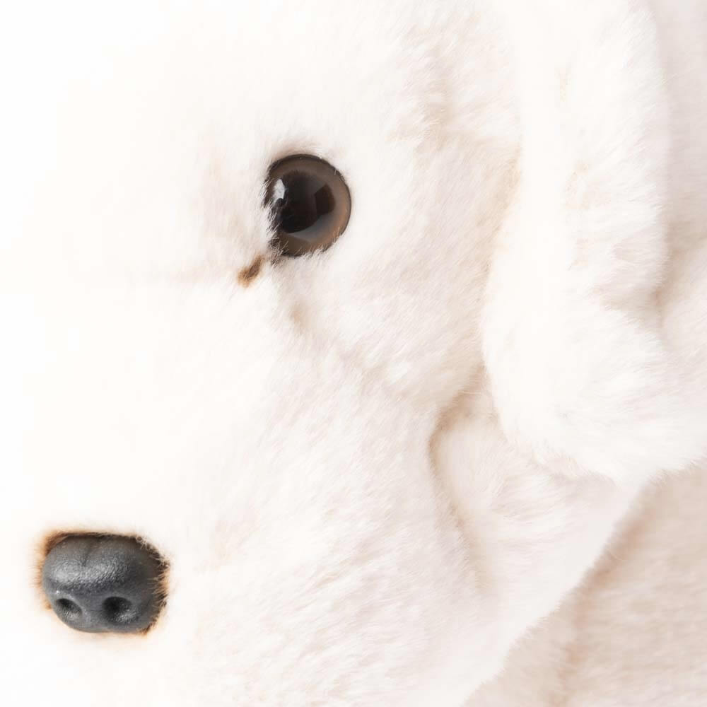 Ma peluche Labrador Marius - La Pelucherie - myplayground