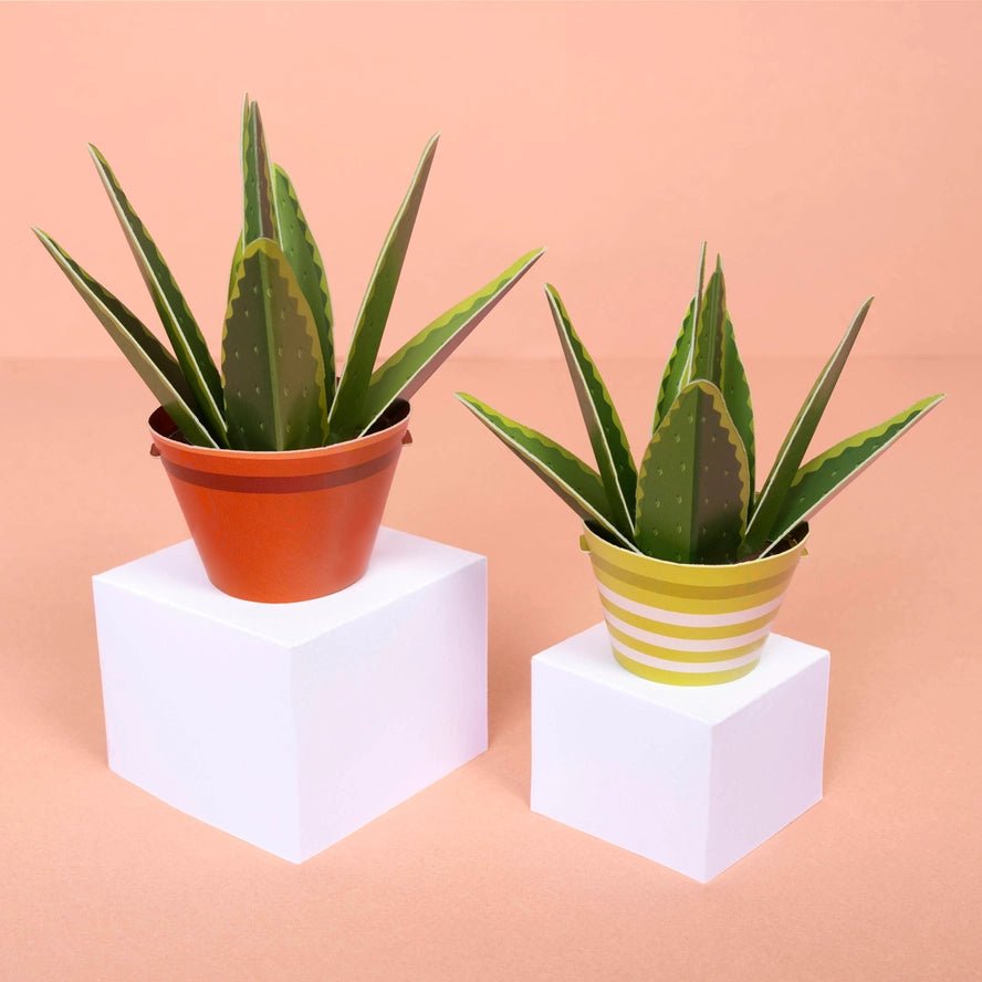 Fabriquez votre propre plante curative en papier à l'aloe vera - Clockwork Soldier - myplayground