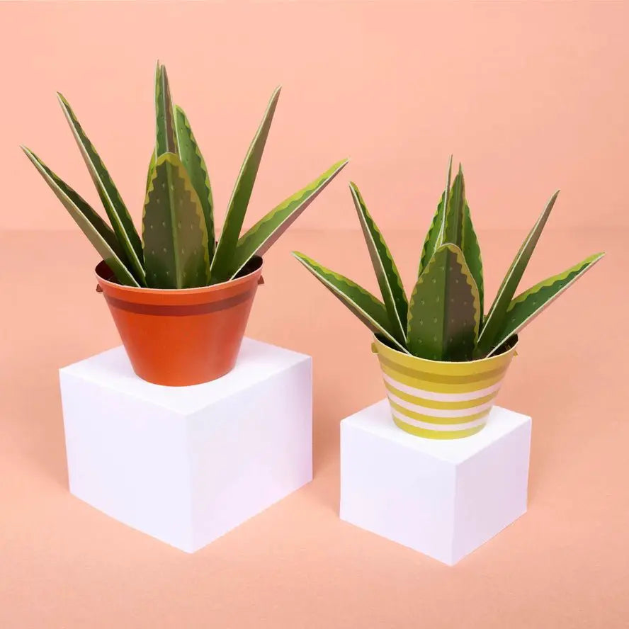 Fabriquez votre propre plante curative en papier à l'aloe vera - Clockwork Soldier by Clockwork Soldier