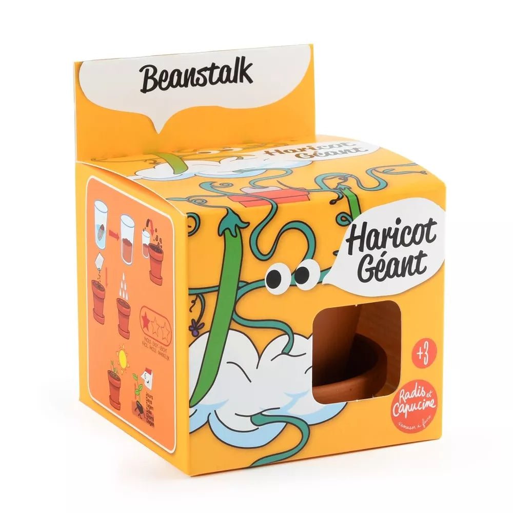 Haricot géant - Plantes extraordinaires - Radis et Capucine - myplayground