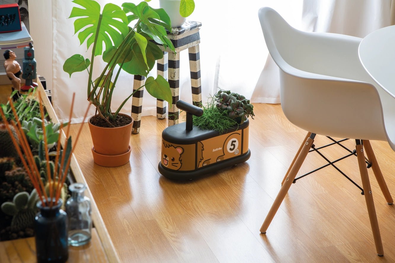 La Cosa 1 - Animaux - Porteur Lion - 1/6 ans - Italtrike - myplayground