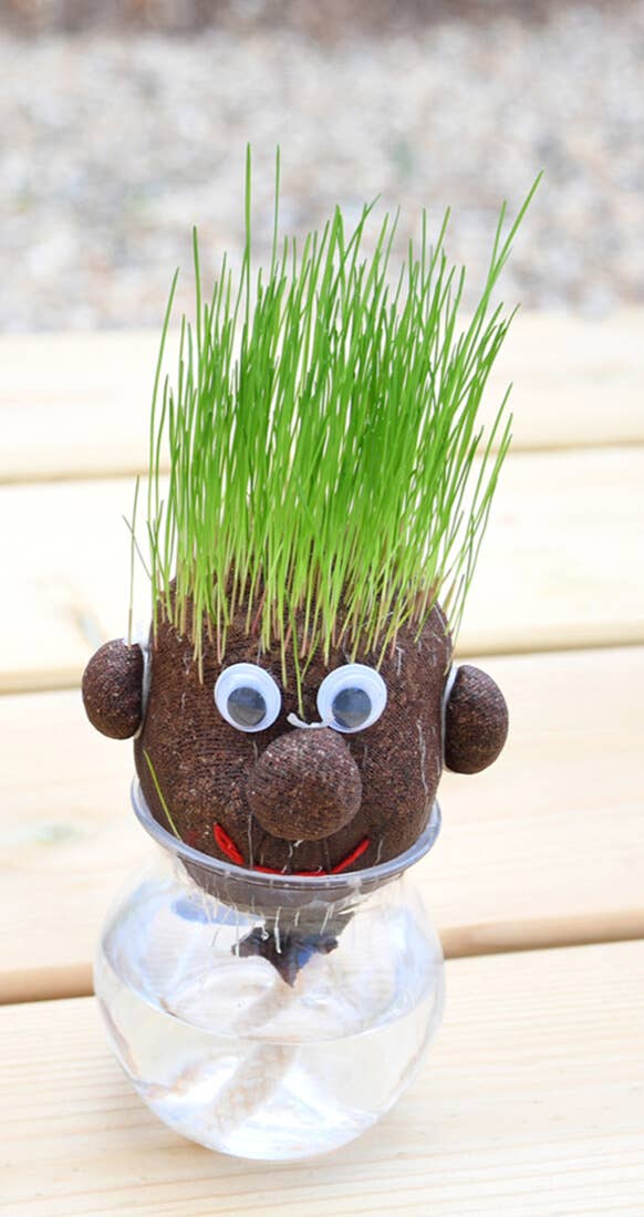 Tête a pousser avec graines de gazon - Mr Green - Kit créatif de jardinage Enfant - myplayground