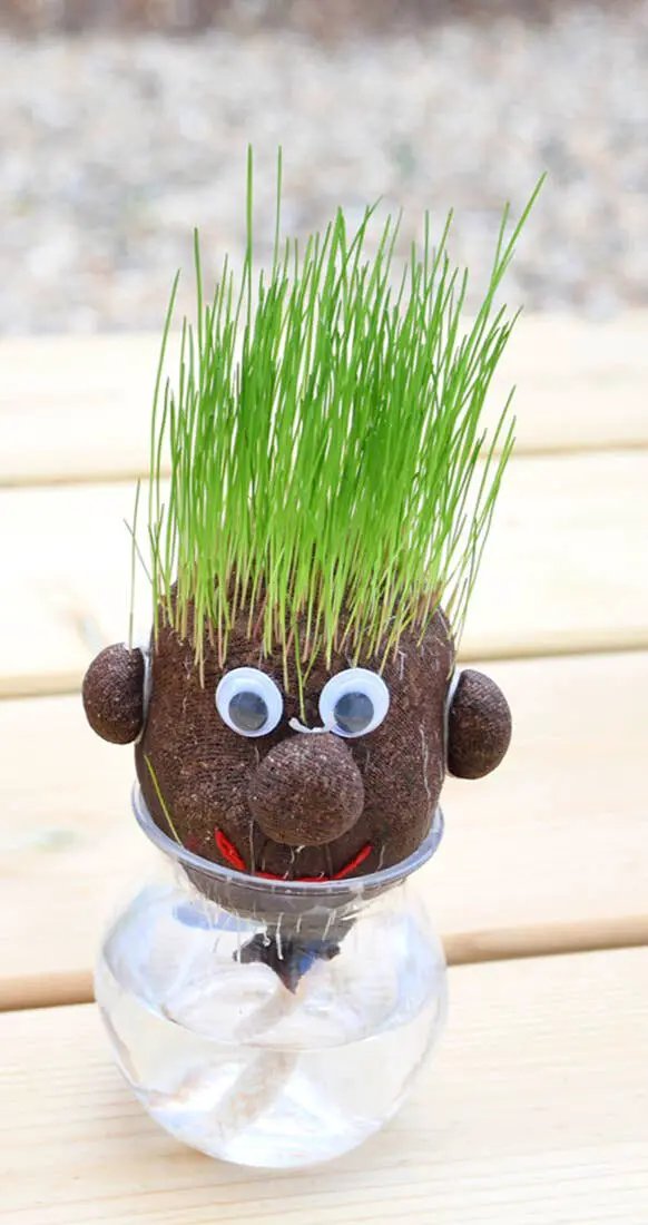 Tête a pousser avec graines de gazon - Mr Green - Kit créatif de jardinage Enfant by Radis Et Capucine