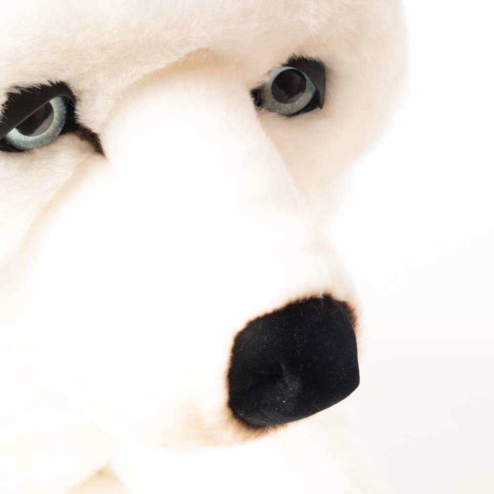 Ma peluche Husky Léonard - La Pelucherie by LA PELUCHERIE