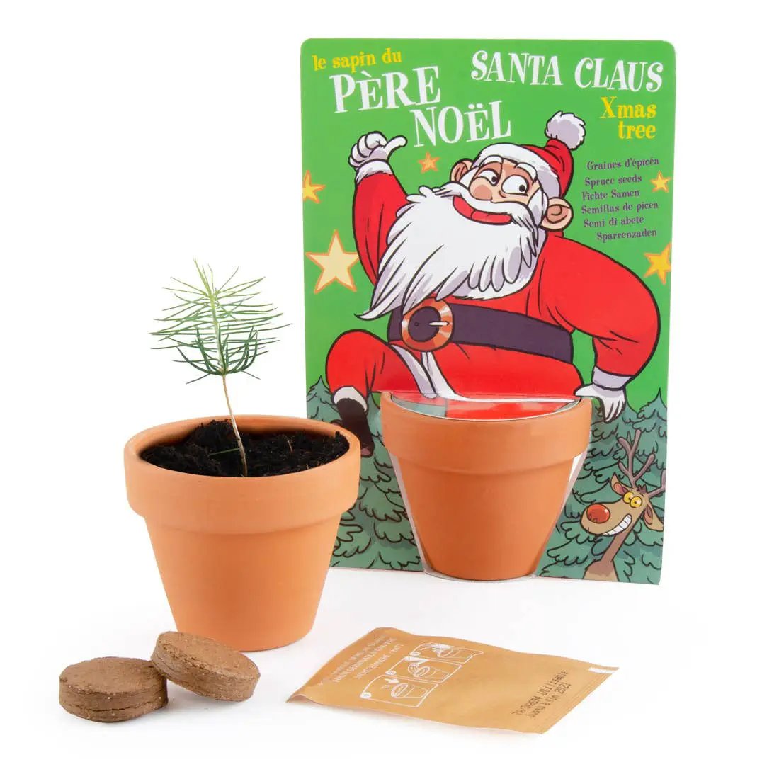 Carte nature Père Noël - Pin - Kit créatif de jardinage Enfant by Radis Et Capucine