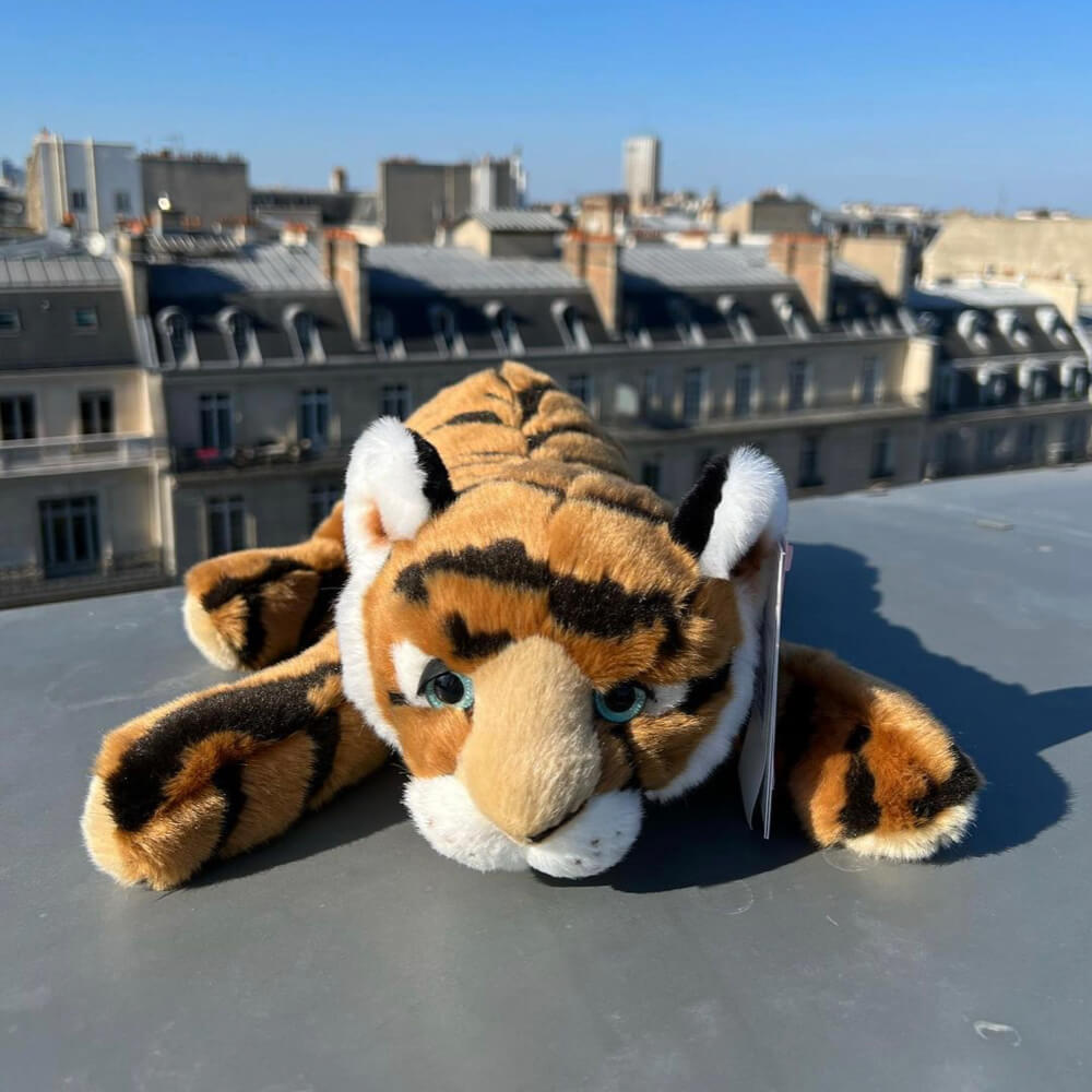 Ma peluche Tigre César - La Pelucherie by LA PELUCHERIE