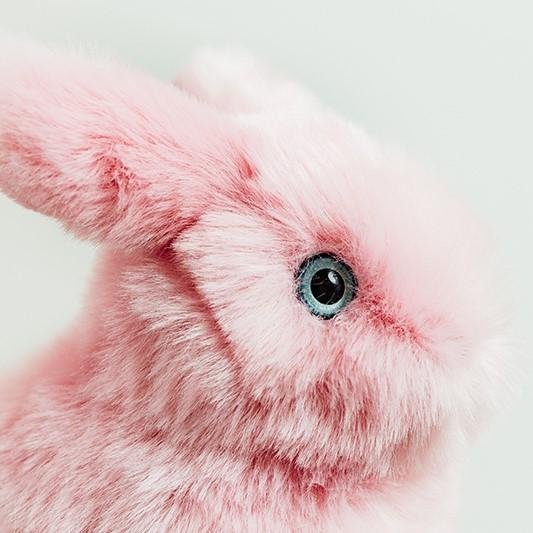 Ma peluche Lapin Léon - La Pelucherie by La Pelucherie