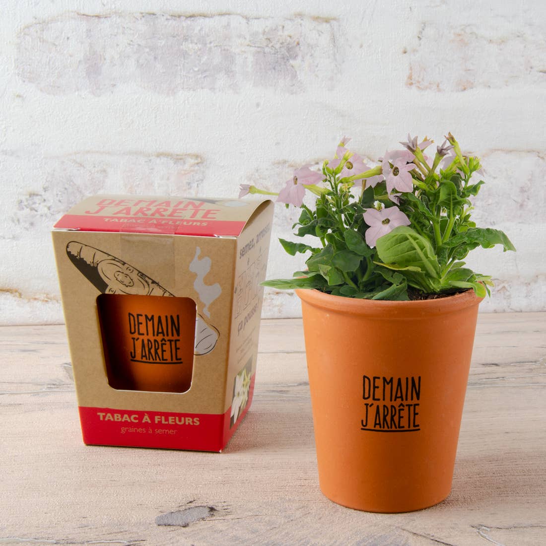 Kit message Demain j'arrête - Tabac de Virginie - Kit créatif de jardinage - myplayground