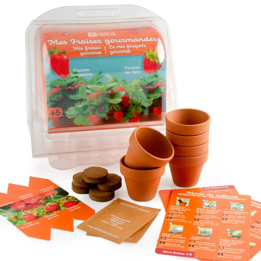 Serre plastique recyclé - Fraisiers - Kit créatif de jardinage Enfant by Radis Et Capucine