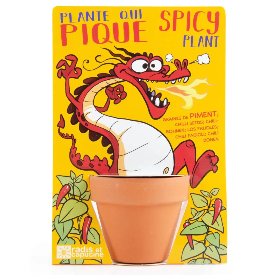 Carte nature Dragon + Piment de Cayenne - Kit créatif de jardinage Enfant by Radis Et Capucine