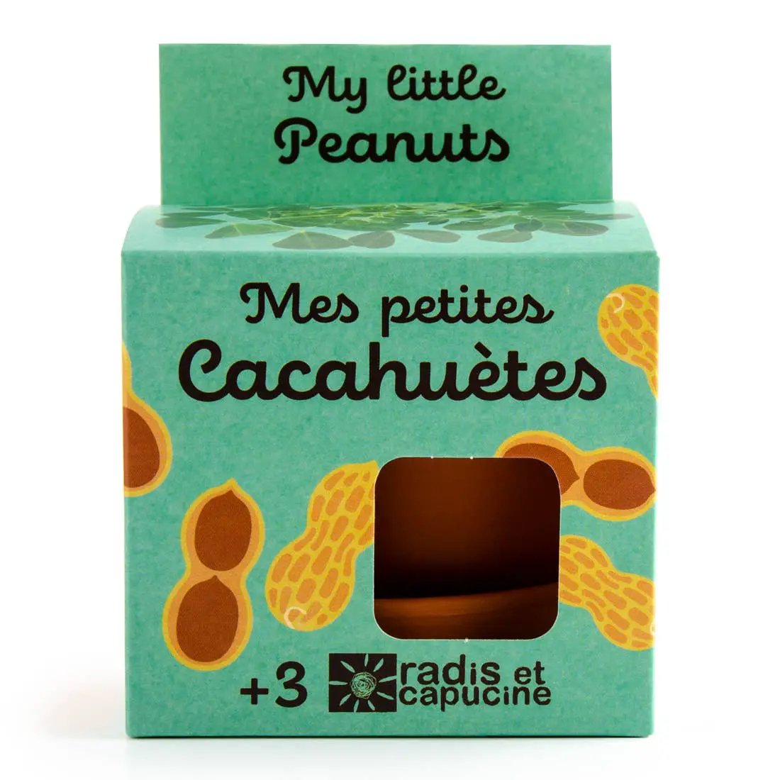 Plantes gourmandes - Cacahuète - Kit créatif de jardinage Enfant by Radis Et Capucine