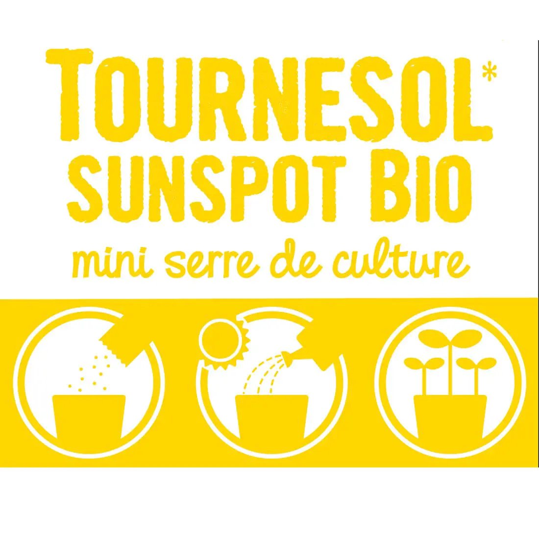 Pot Cloche - Tournesol bio - Kit créatif de jardinage Enfant by Radis Et Capucine