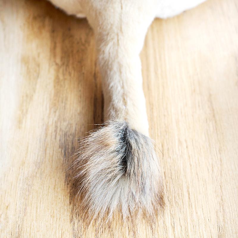 Ma peluche Lion Melchior - La Pelucherie - myplayground