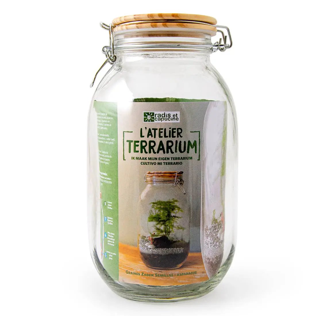 Kit pour créer ton propre terrarium - Kit créatif de jardinage Enfant by Radis Et Capucine
