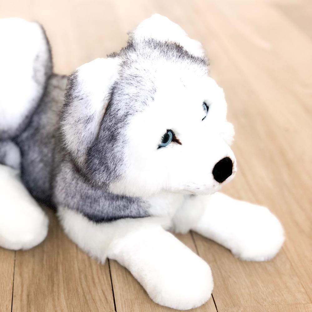 Ma peluche Husky Léonard - La Pelucherie by LA PELUCHERIE
