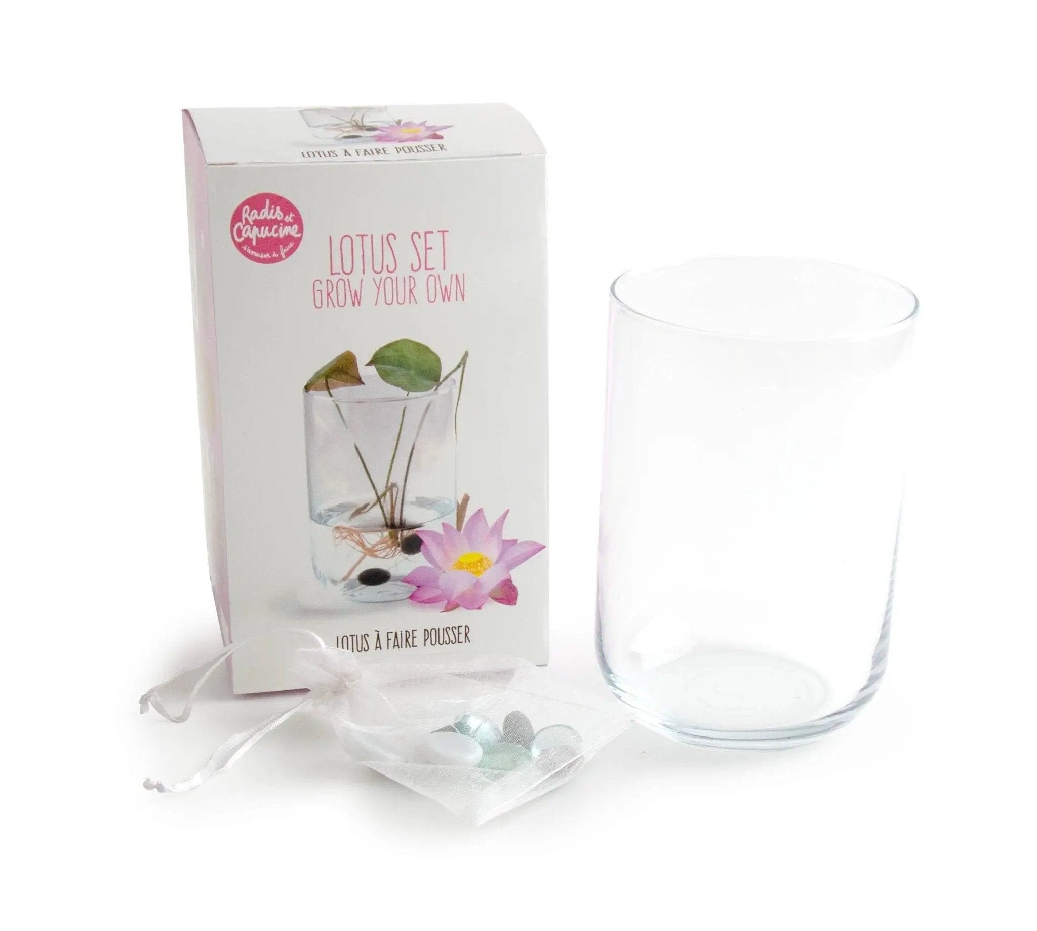 NOUVEAUTÉ - Kit Lotus à faire pousser - Kit créatif de jardinage by Radis Et Capucine