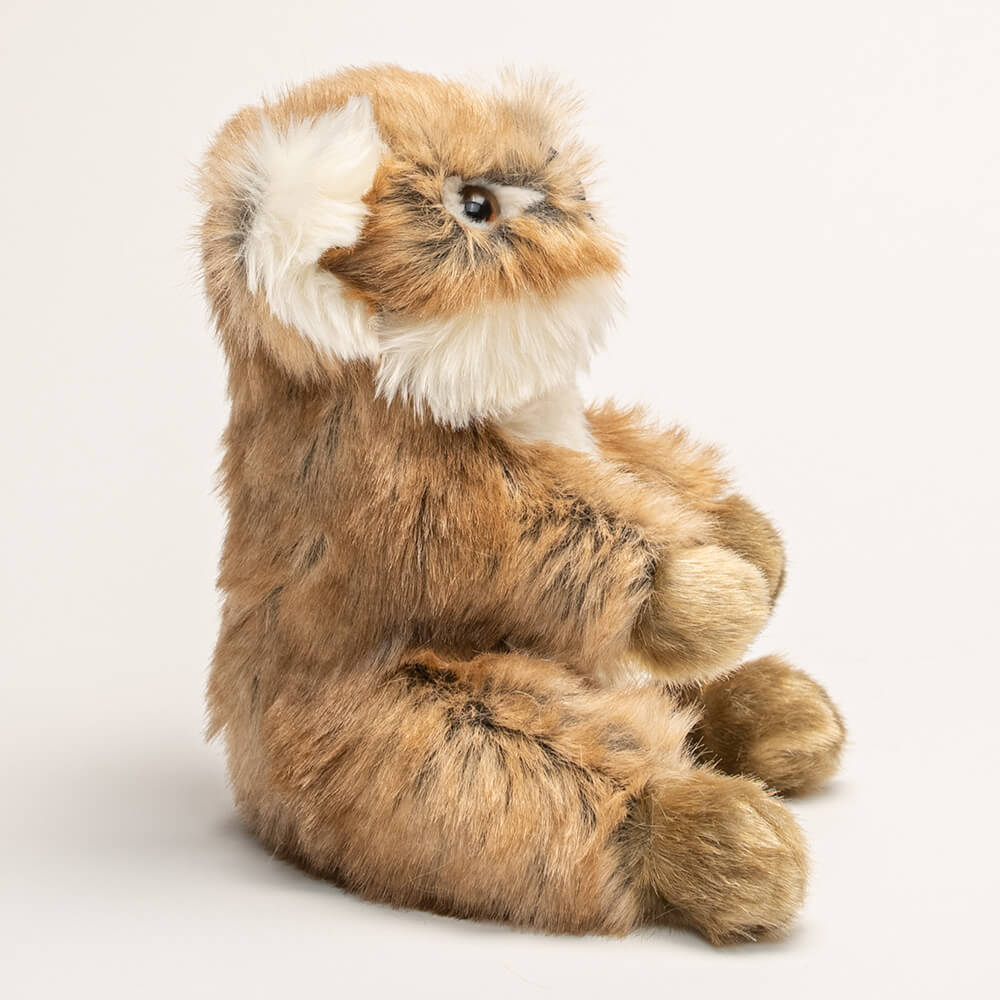 Ma peluche Koala Félicien - La Pelucherie - myplayground