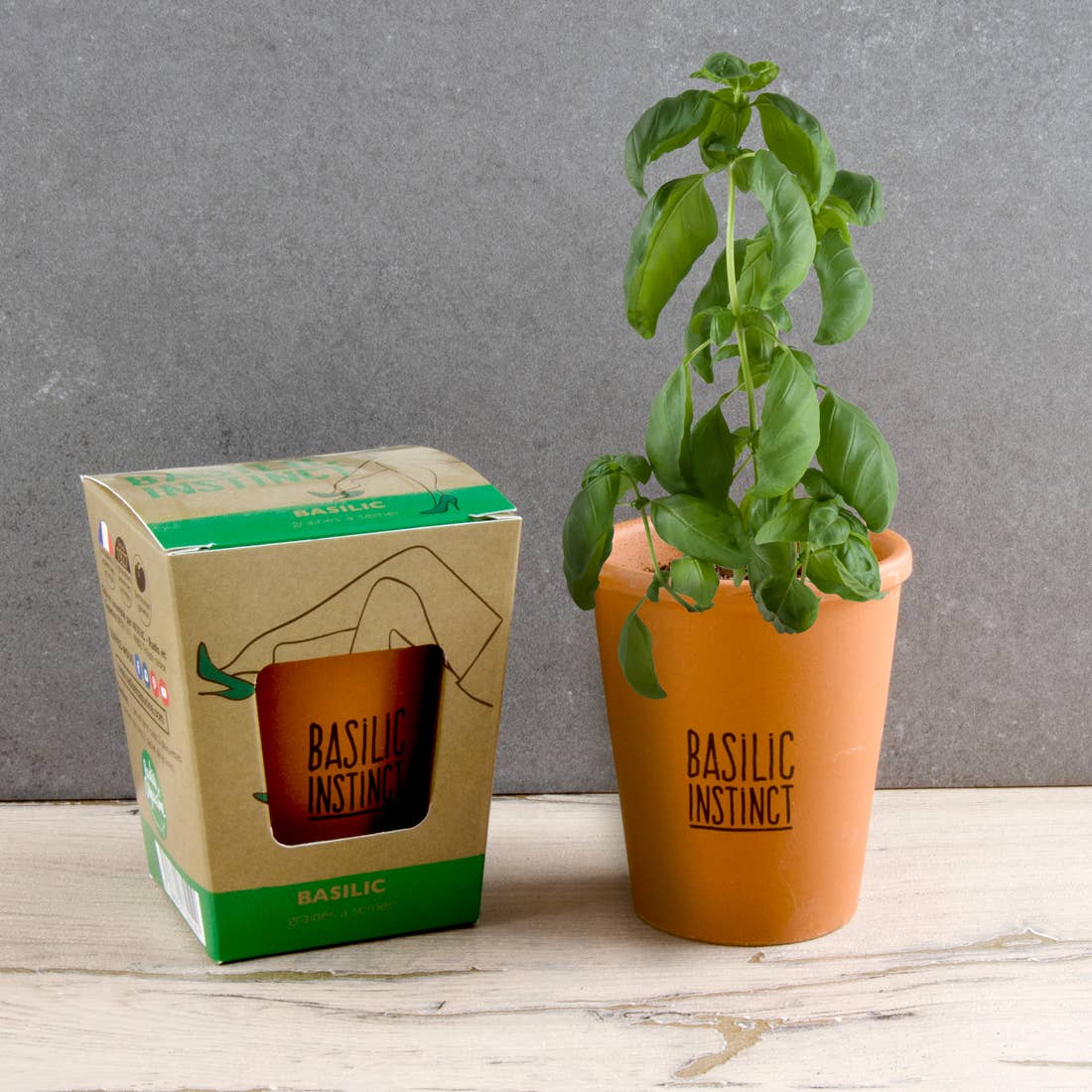 Kit message "Basilic Instinct" Basilic - Kit créatif de jardinage Enfant - myplayground