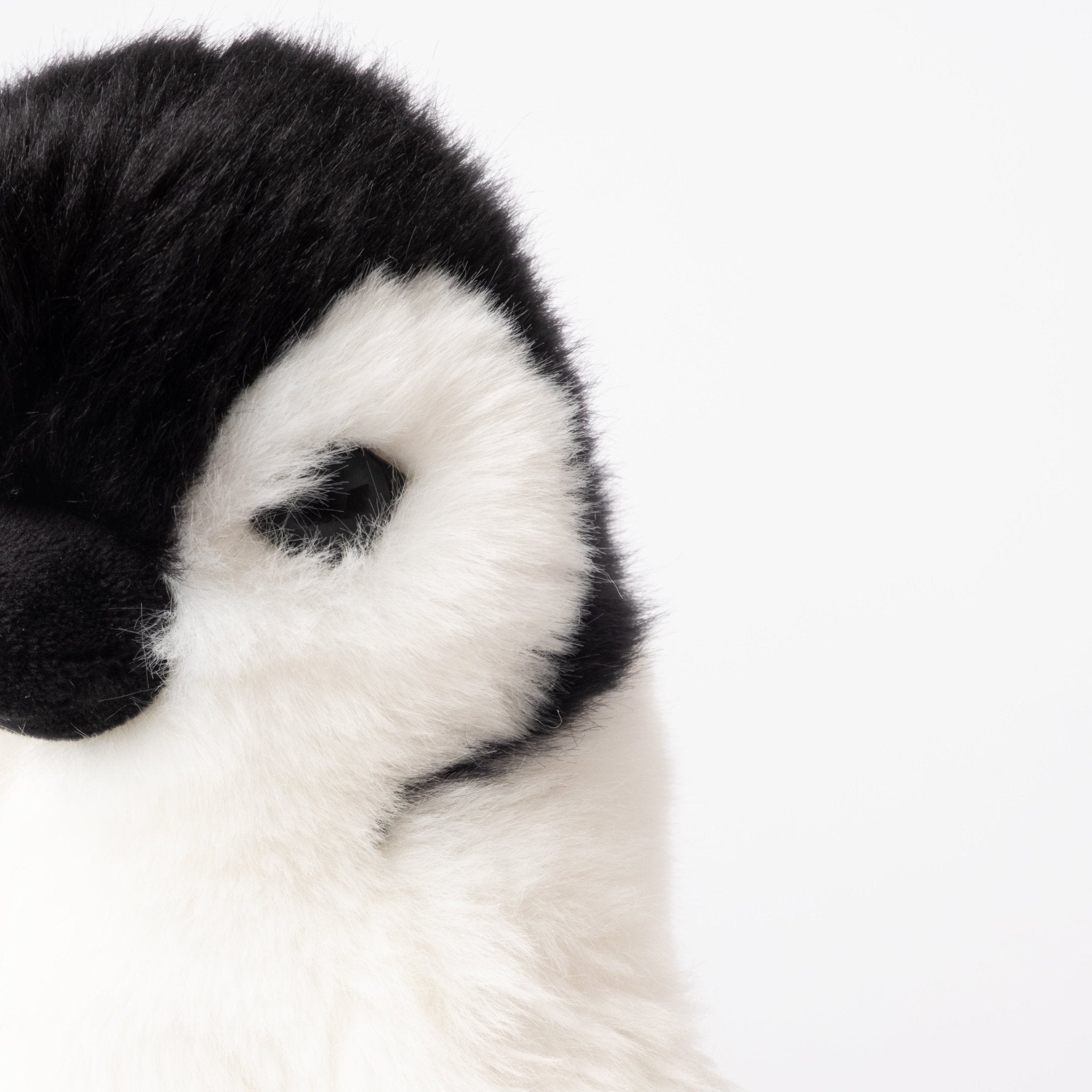 Ma peluche Pingouin Raymond - La Pelucherie by LA PELUCHERIE
