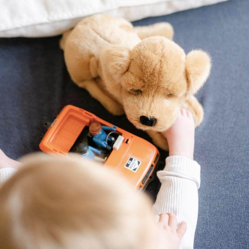 Ma peluche Cocker Théo - La Pelucherie - myplayground