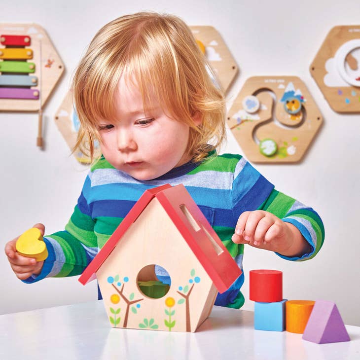 My Little Bird House - Jeu de tri de formes Le Toy Van My Little Bird House - Jeu de tri de formes myplayground