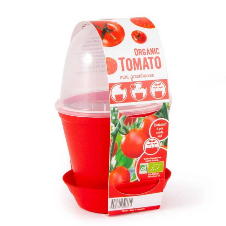Pot Cloche - Tomate cerise bio - Kit créatif de jardinage Enfant Kit DIY Radis Et Capucine myplayground