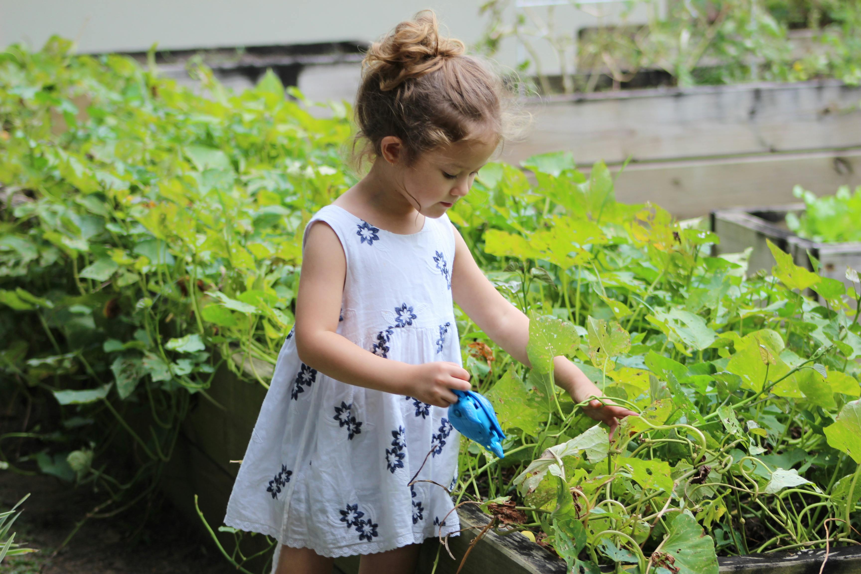 Jardinage avec les enfants : cultiver la curiosité et le respect de la nature dès le plus jeune âge