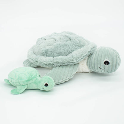 MUM&BABY TURTLE MENTHE/LES PTIPOTOS