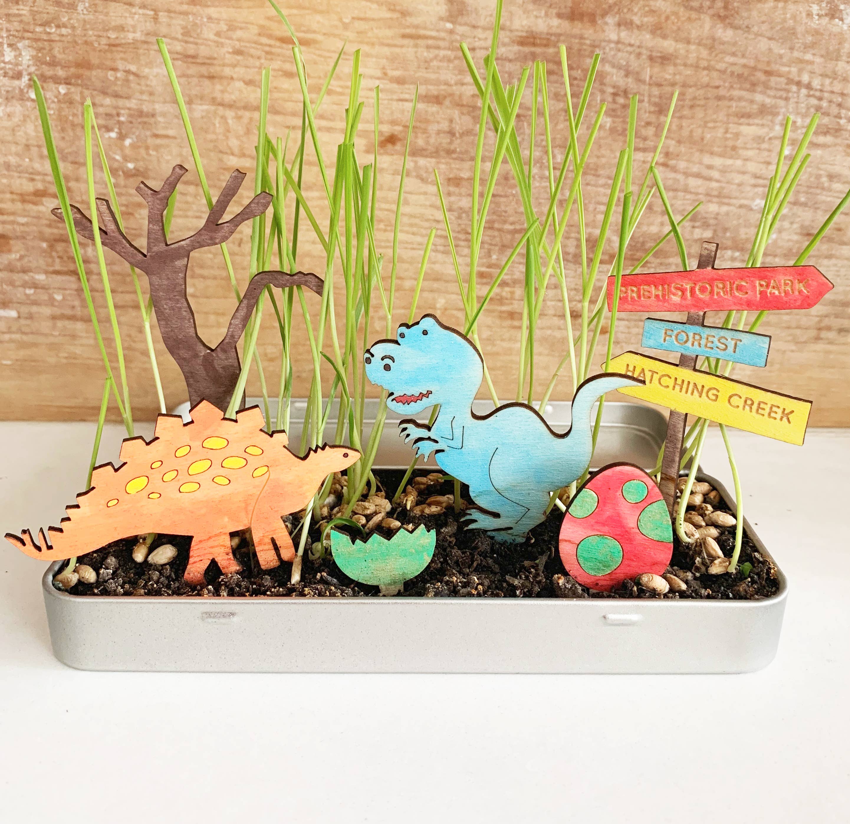 Créez votre propre jardin de dinosaures  Cotton Twist Créez votre propre jardin de dinosaures myplayground