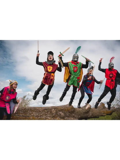 CASQUE VIKING À LONGUES CORNES - Jeu de Rôle pour Enfants