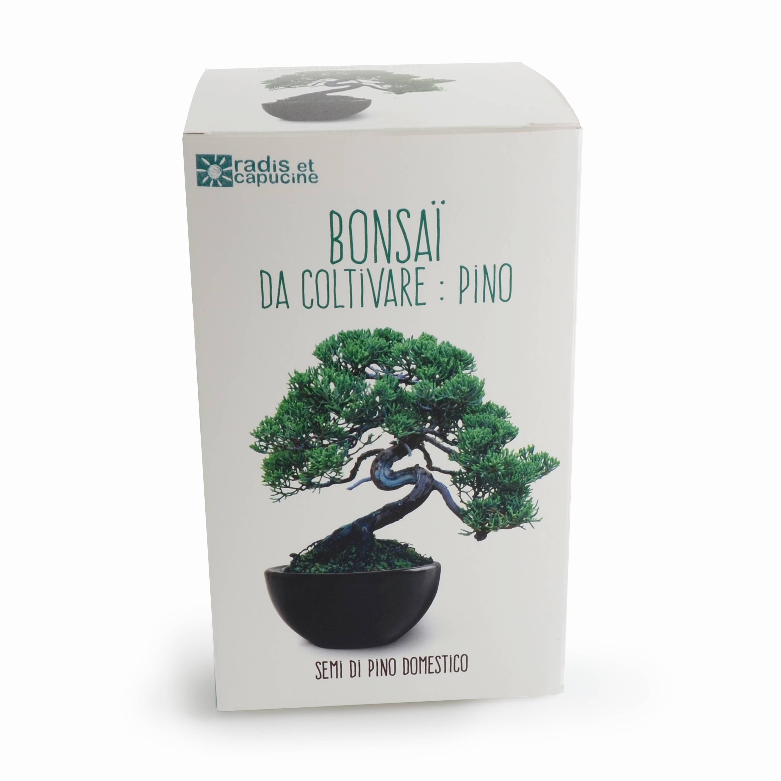 NOUVEAUTE - Kit Bonsaï à faire pousser - Kit créatif de jardinage Enfant  Radis Et Capucine  myplayground