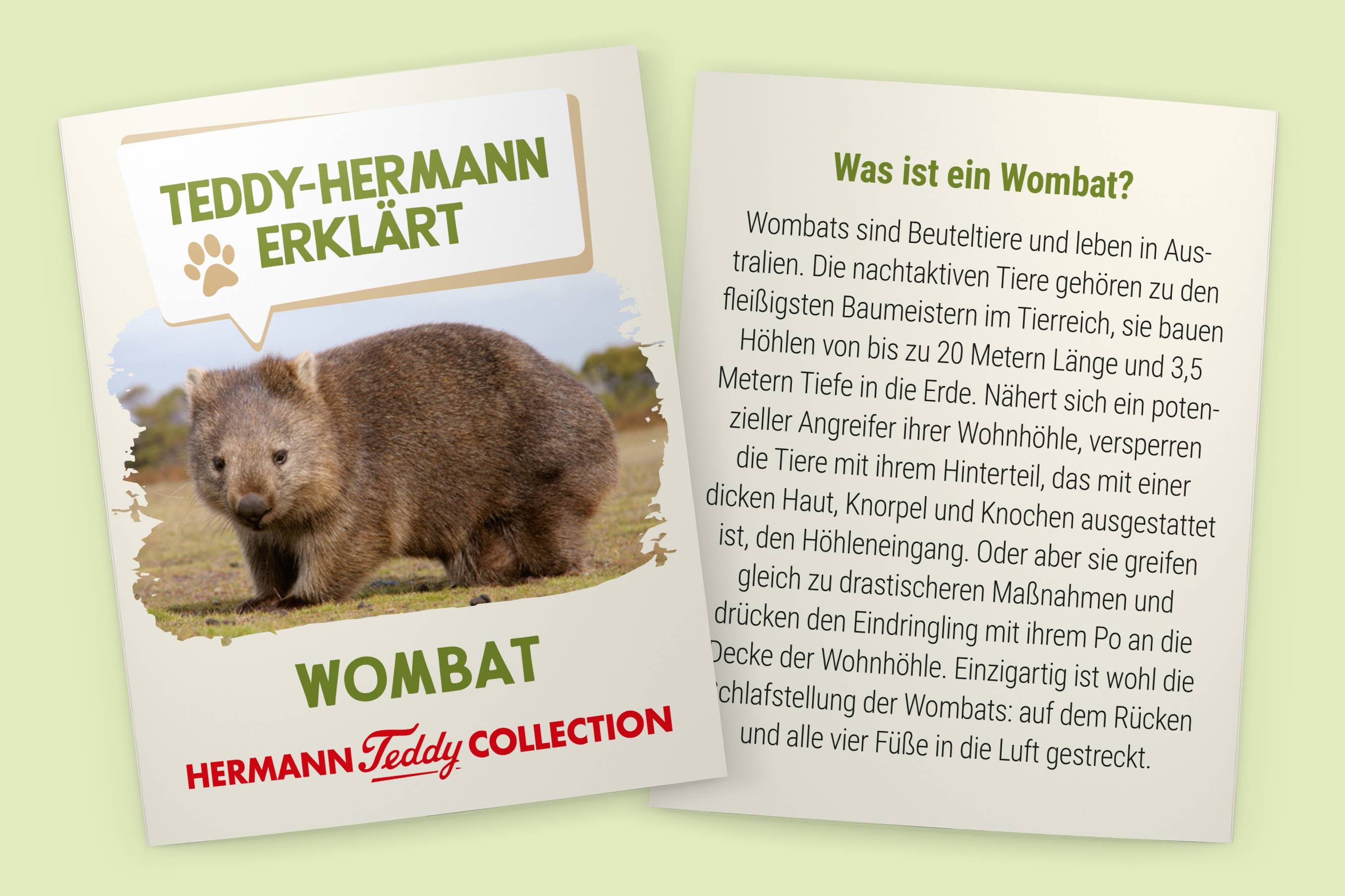 Wombat 26 cm - peluche - peluche  Teddy Hermann Wombat 26 cm - peluche - peluche myplayground