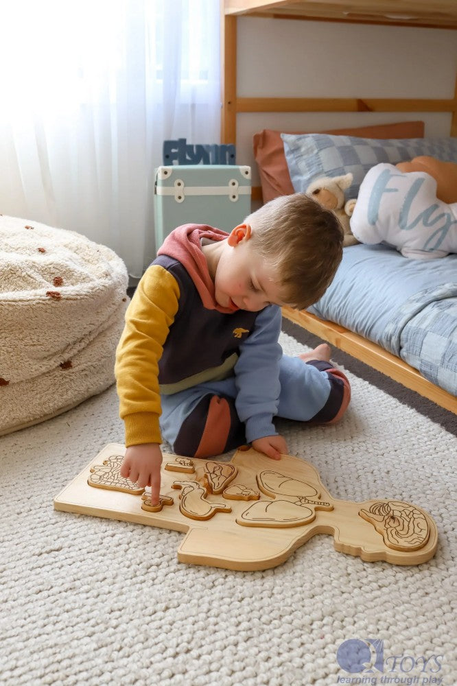 Puzzle anatomique en bois  QToys USA Puzzle anatomique en bois myplayground