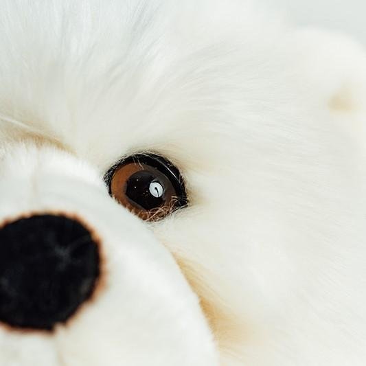 Ma peluche Ours Jules - La Pelucherie  La Pelucherie  myplayground