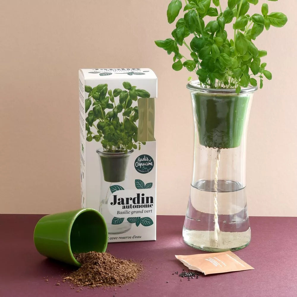 Jardin autonome - Basilic grand vert Bio - Kit créatif de jardinage Enfant  Radis Et Capucine Jardin autonome - Basilic grand vert Bio - Kit créatif de jardinage Enfant myplayground
