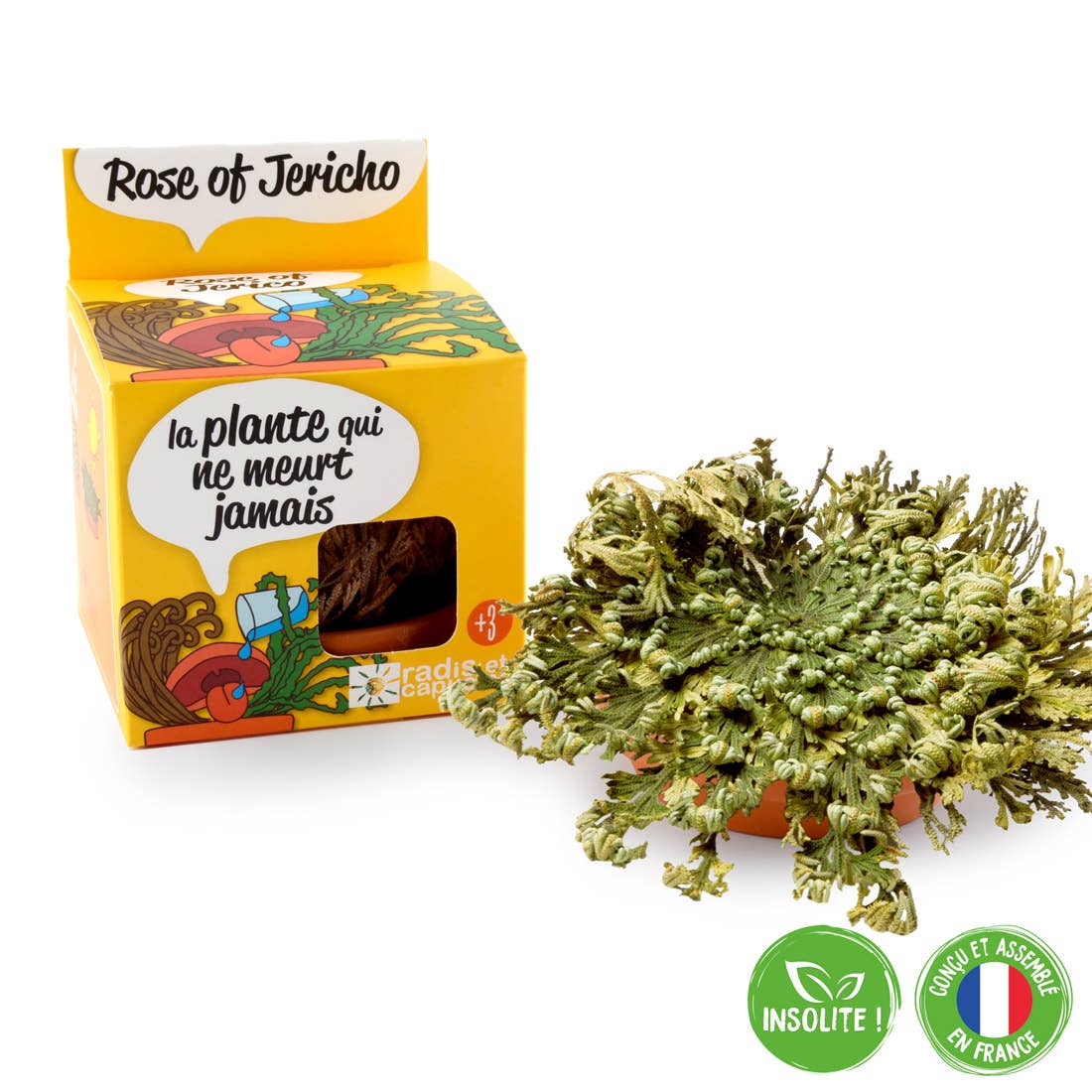 La plante éternelle - Kit créatif de jardinage Enfant  Radis Et Capucine La plante éternelle - Kit créatif de jardinage Enfant myplayground