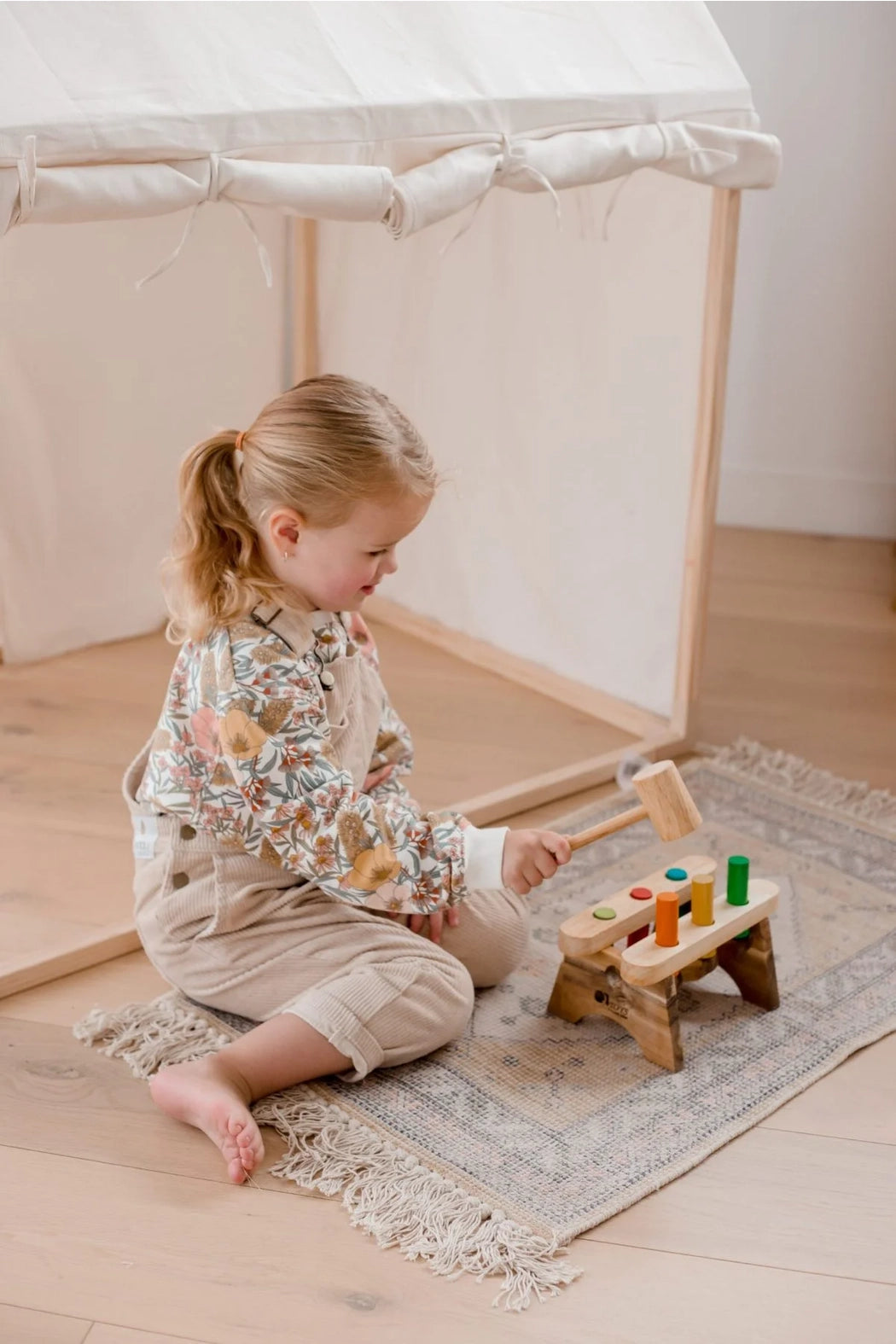 Livre A Peg  QToys USA Livre A Peg myplayground