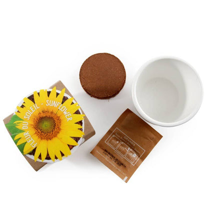 Pot blanc - Tournesol bio - Kit créatif de jardinage Enfant