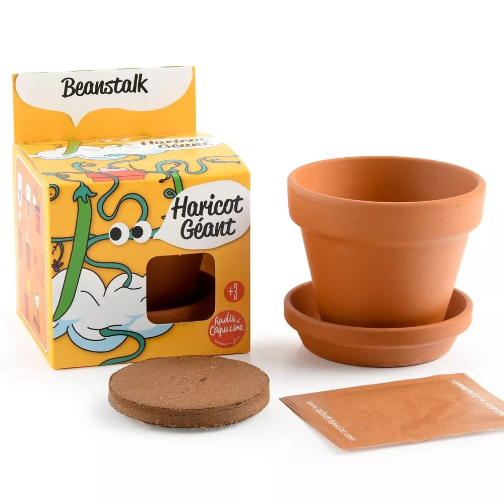 Haricot géant - Plantes extraordinaires - Radis et Capucine jardinage Radis Et Capucine Haricot géant - Plantes extraordinaires - Radis et Capucine myplayground