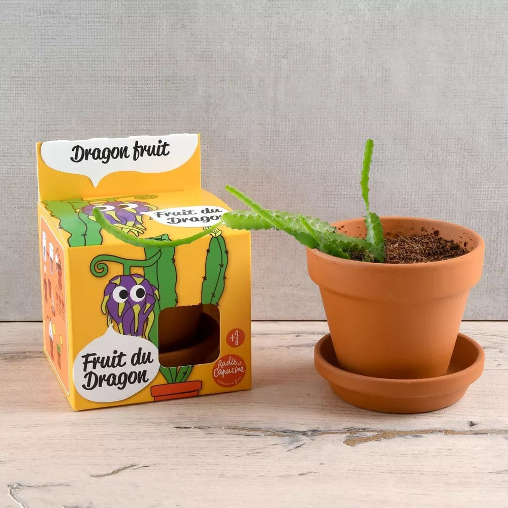 Fruit du dragon - Plantes extraordinaires - Radis et Capucine jardinage Radis Et Capucine Fruit du dragon - Plantes extraordinaires - Radis et Capucine myplayground