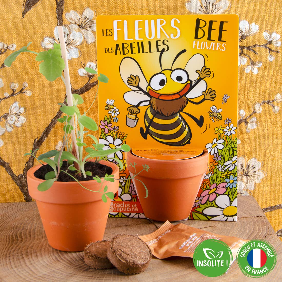 Carte nature Fleurs des abeilles - Kit créatif de jardinage Enfant  Radis Et Capucine Carte nature Fleurs des abeilles - Kit créatif de jardinage Enfant myplayground