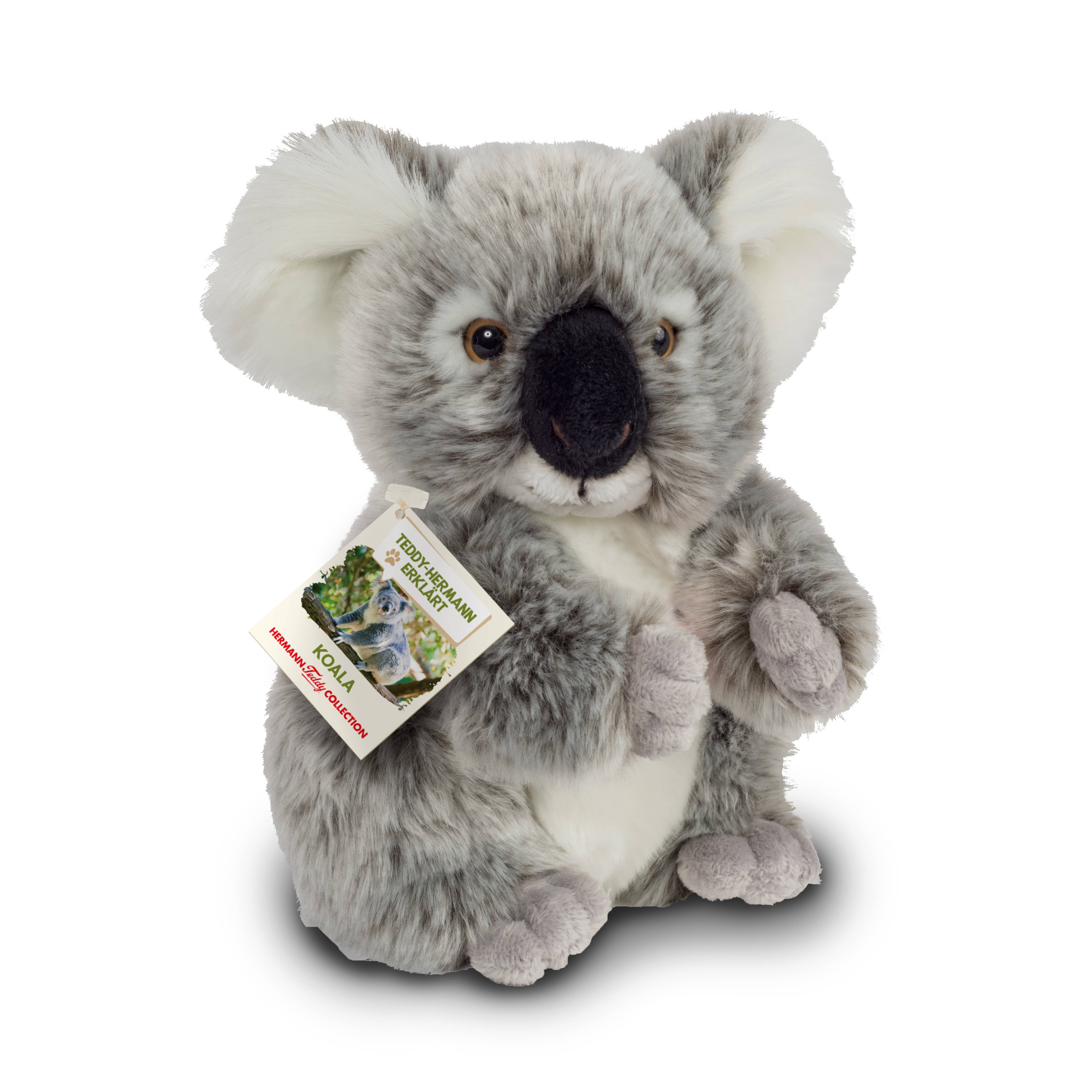 Koala 21 cm - peluche - peluche  Teddy Hermann Koala 21 cm - peluche - peluche myplayground