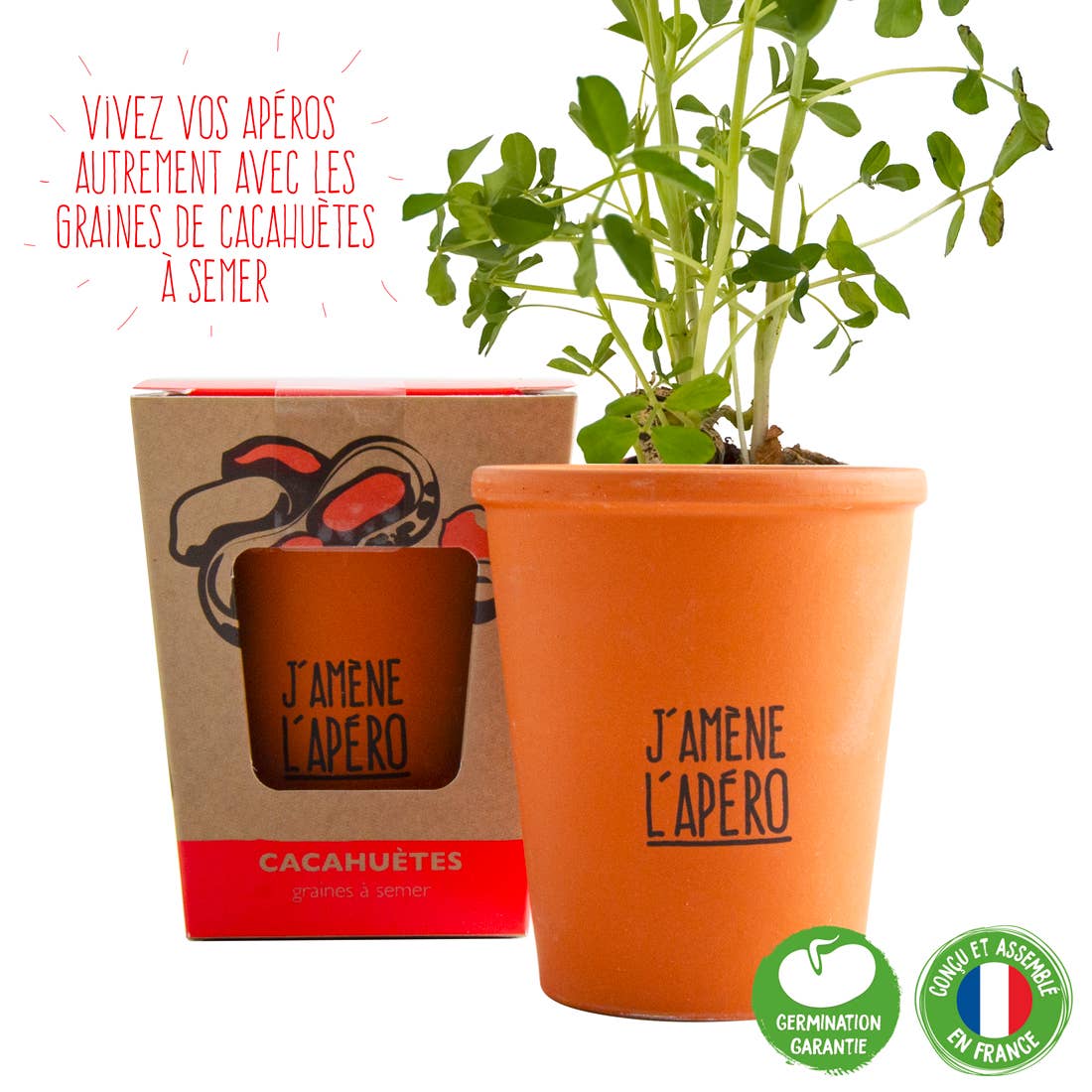 Kit message J'amène L'apéro - Cacahuètes - Kit créatif de jardinage  Radis Et Capucine Kit message J'amène L'apéro - Cacahuètes - Kit créatif de jardinage myplayground