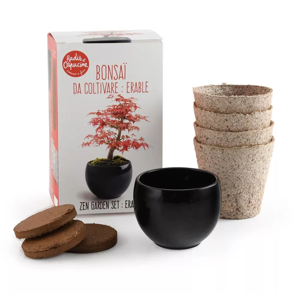 Kit Bonsaï Erable rouge - Radis et Capucine jardinage Radis Et Capucine Kit Bonsaï Erable rouge - Radis et Capucine myplayground