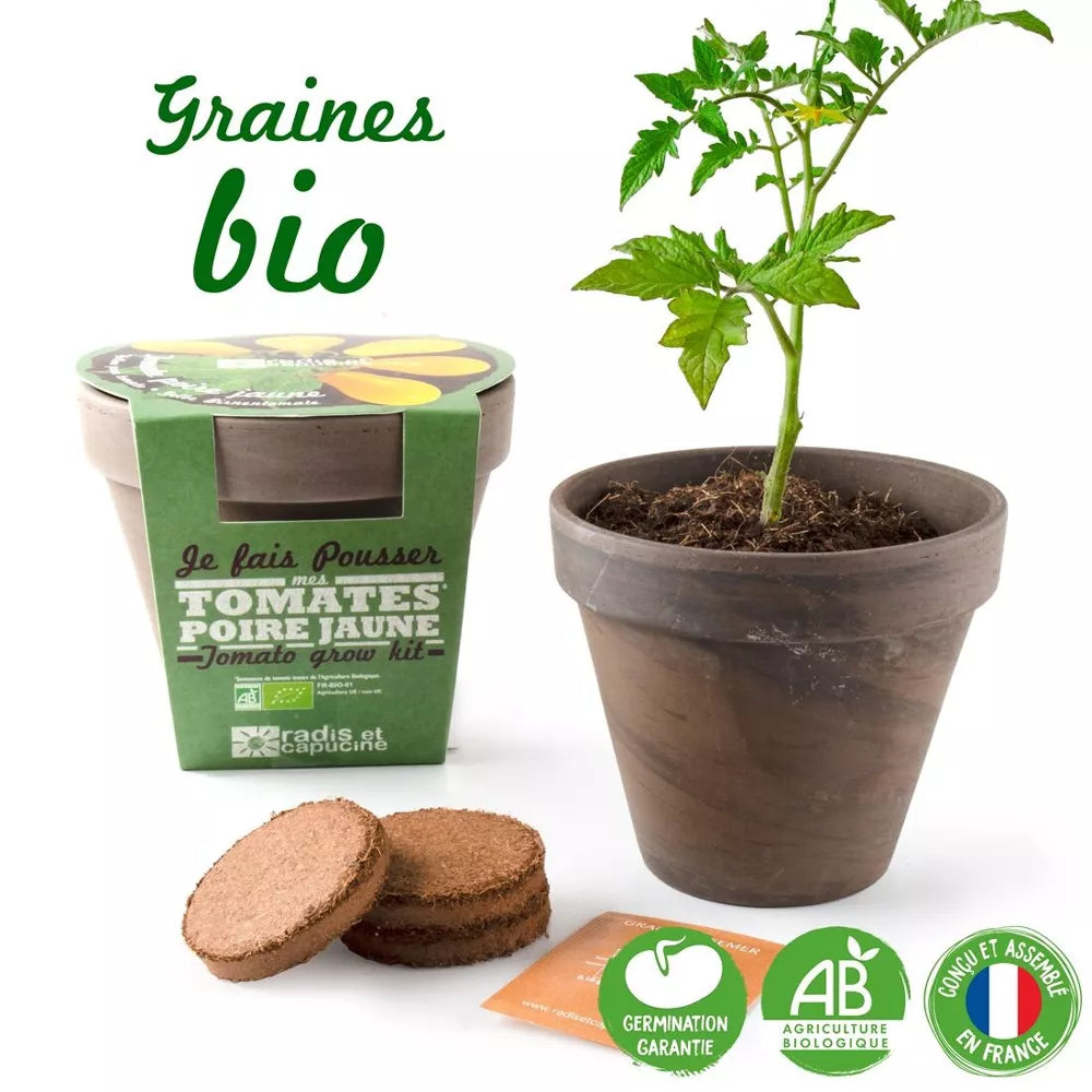 Pot Terre cuite Basalte 13cm - Tomate poire jaune Bio - Radis et Capucine jardinage Radis Et Capucine Pot Terre cuite Basalte 13cm - Tomate poire jaune Bio - Radis et Capucine myplayground