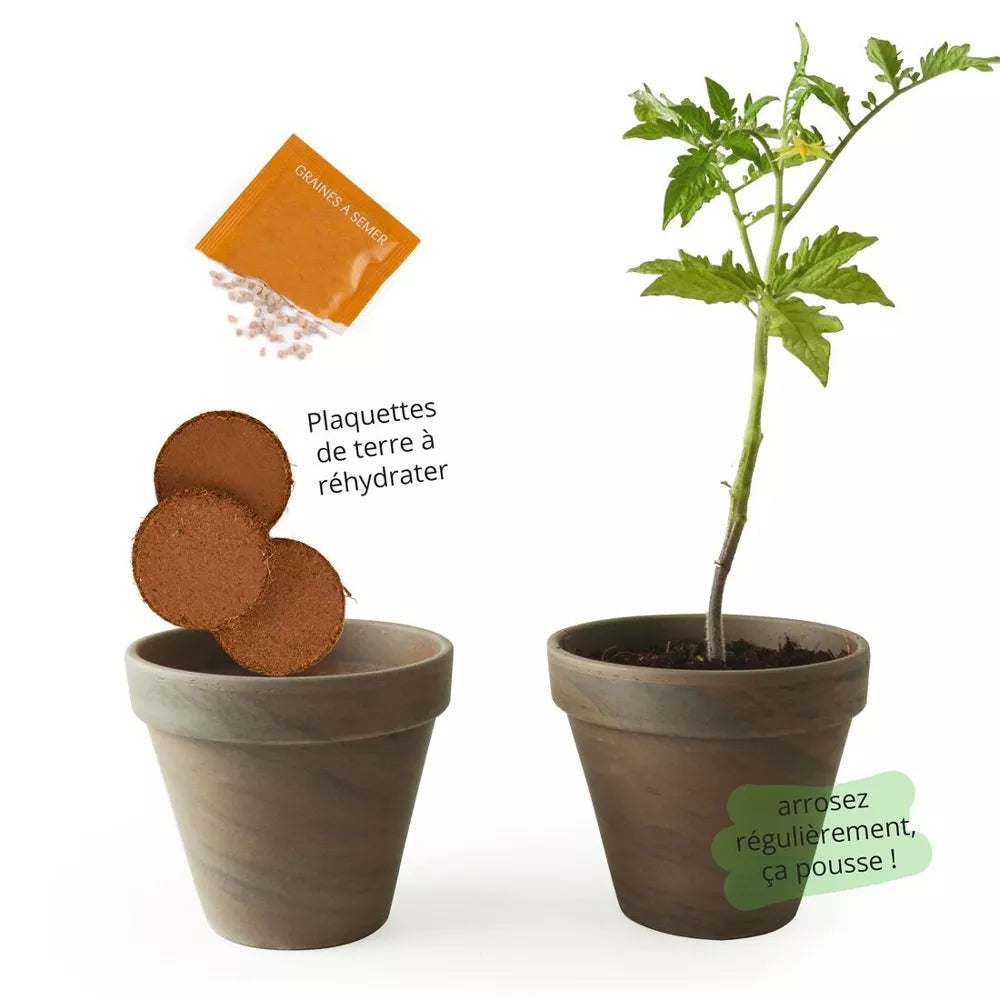 Pot Terre cuite Basalte 13cm - Tomate poire jaune Bio - Radis et Capucine jardinage Radis Et Capucine Pot Terre cuite Basalte 13cm - Tomate poire jaune Bio - Radis et Capucine myplayground