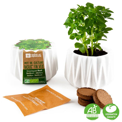 Pot origami - Petit modèle basilic bio - Kit créatif de jardinage Enfant