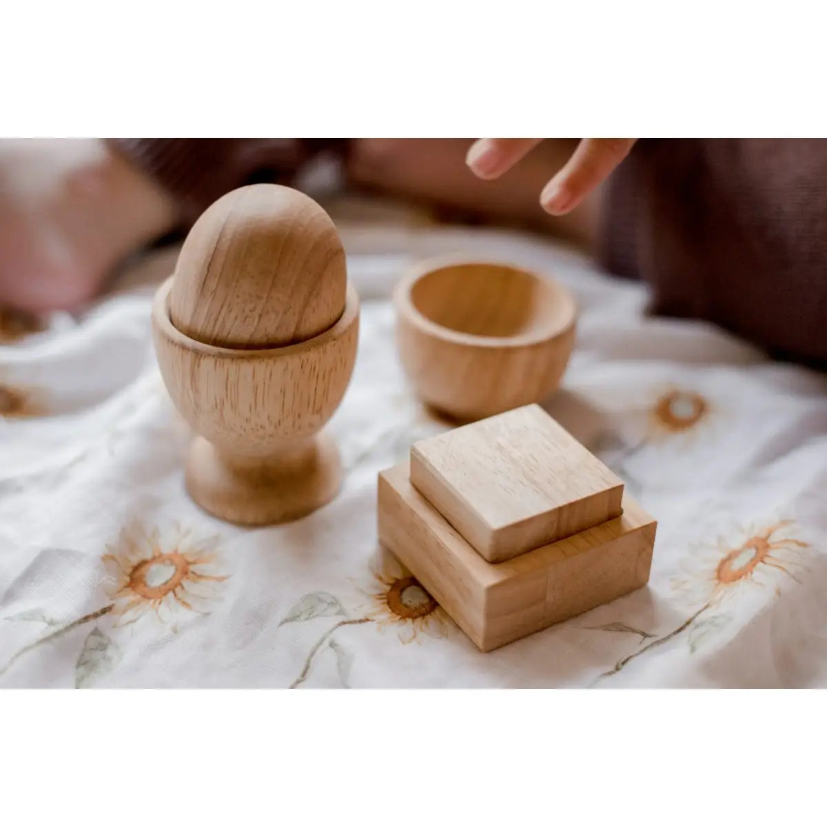 Ensemble d'œufs, de boules et de tasses Montessori  QToys USA  myplayground
