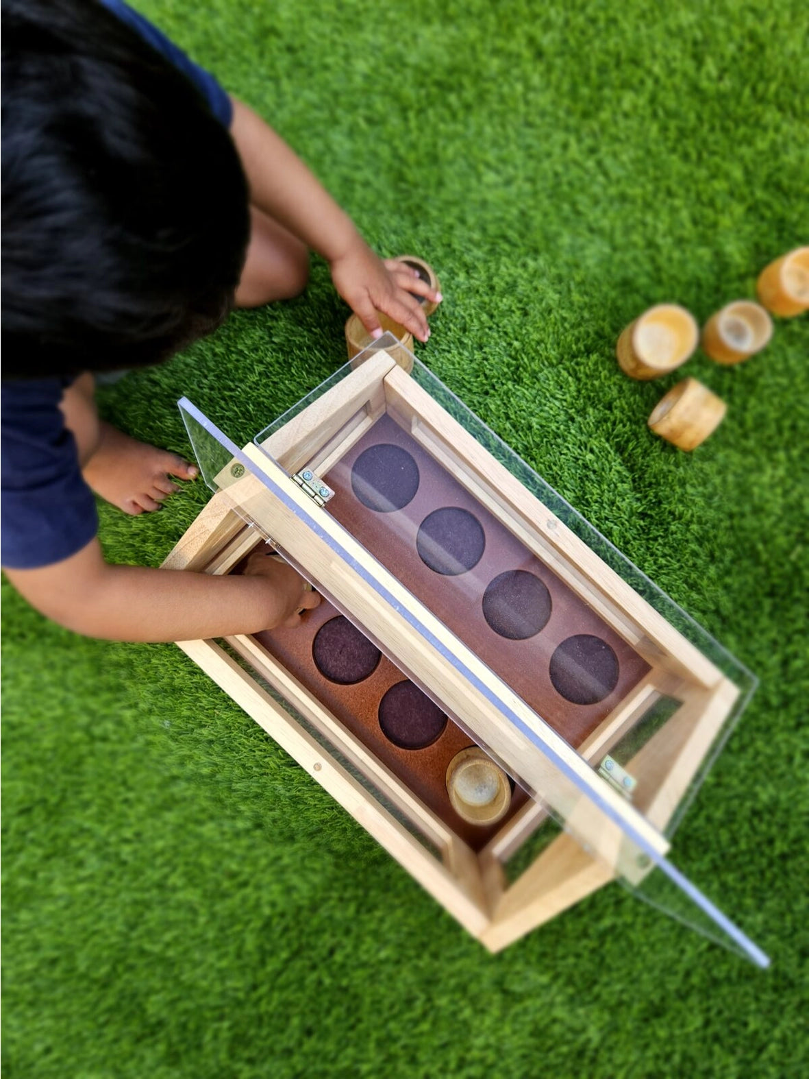 Serre pour planter plus d'arbres  QToys USA Serre pour planter plus d'arbres myplayground